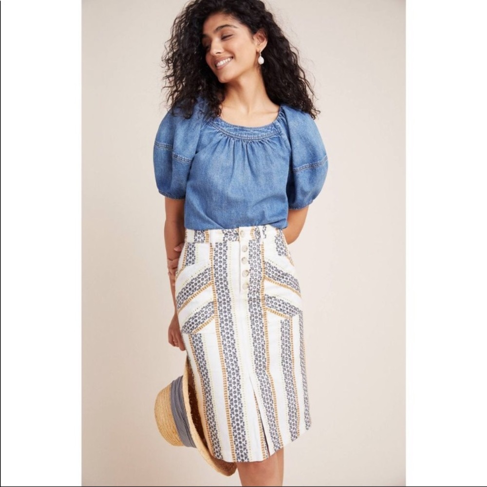 Anthropologie Quincy Eyelet Pencil skirt 14